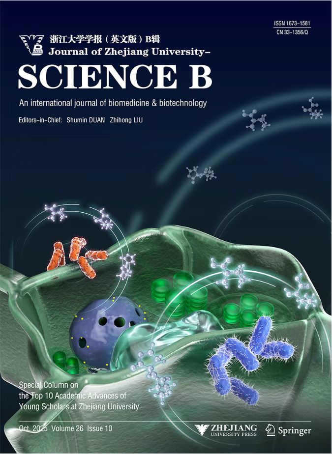 Cover Image 8
